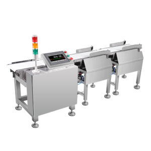 Weight check and sorting machine by Prompt Weighing Solutions